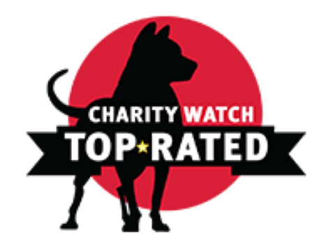 Children International meets the criteria for CharityWatch’s top-rated charities.