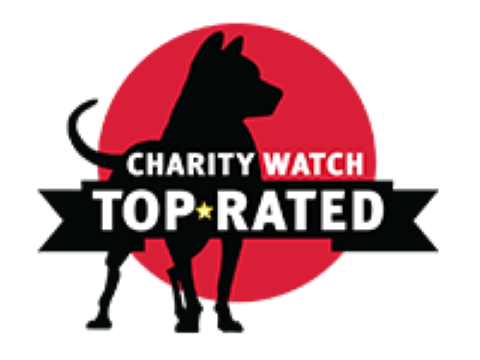 logotipo de Charity watch mejor valorado