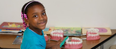 a young girl holding a toothbrush in front of a model of teeth