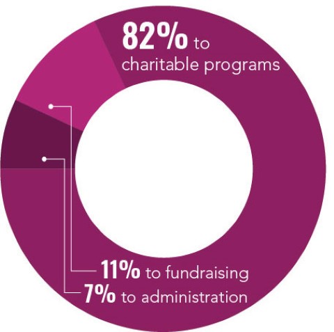 a pie chart showing the percentage of charitable programs