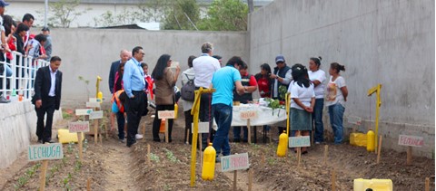 un grupo de personas paradas alrededor de un jardín