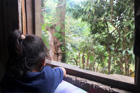 La comunidad de Naco se siente rural, a pesar de estar en una zona urbana. Debido a la zona montañosa y arbolada, Naco no ofrece los sonidos ni las vistas comúnmente relacionadas con la vida urbana. El canto de los pájaros y música del río vecino llenan el ambiente.