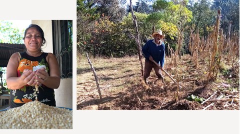 two pictures of a woman and a man working in the garden