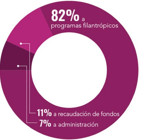 un gráfico circular que muestra el porcentaje de programas caritativos