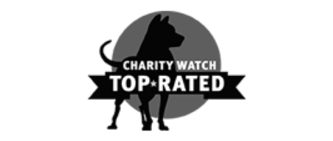 charitywatch top rated