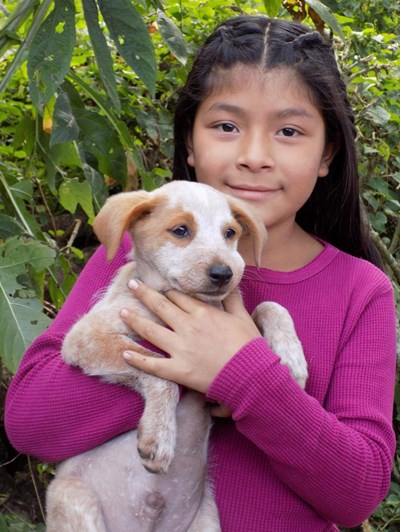 Help Jaqueline Adriana by becoming a child sponsor. Sponsoring a child is a rewarding and heartwarming experience.