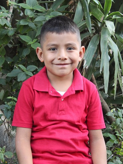 Ayude a William Ignacio apadrinándole hoy. El apadrinamiento es una experiencia hermosa y gratificante.
