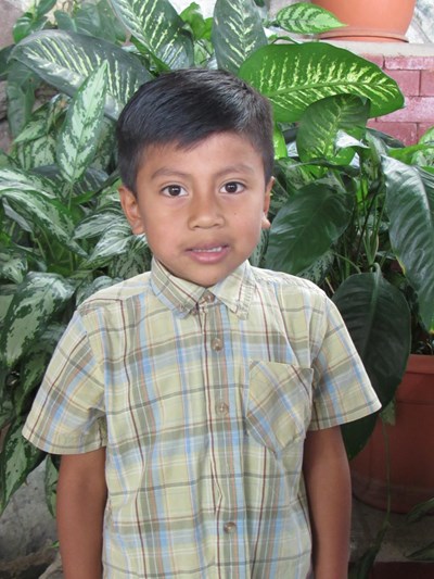 Help Anthony Alexander by becoming a child sponsor. Sponsoring a child is a rewarding and heartwarming experience.