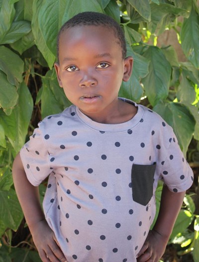 Help Frank by becoming a child sponsor. Sponsoring a child is a rewarding and heartwarming experience.