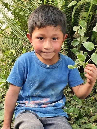 Help Gerson Adonias by becoming a child sponsor. Sponsoring a child is a rewarding and heartwarming experience.
