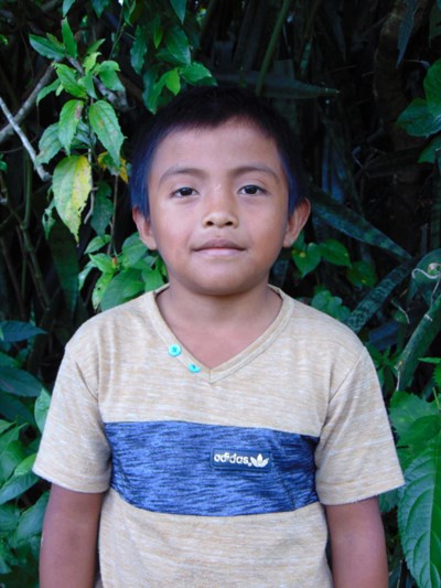 Help Gedvin Fernando by becoming a child sponsor. Sponsoring a child is a rewarding and heartwarming experience.